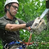 WoodChuck Tree Care gallery