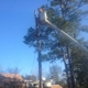 Southern Tree Surgery