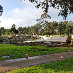 D & K Tree Surgery - Lake Albert, NSW