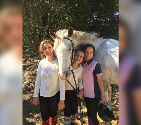 Forest Park Riding & Equitation School - Stromlo, ACT. Children are under supervision and are responsible for the grooming and general care of the horse allocated to them.