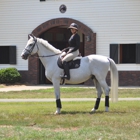 Reign Equestrian