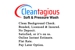 Cleantagious Soft & Pressure Wash - Pressure Washing Equipment & Services