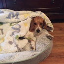 Cross Point Veterinary Clinic