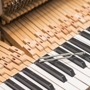 Karl Park Piano Tuning & Repair