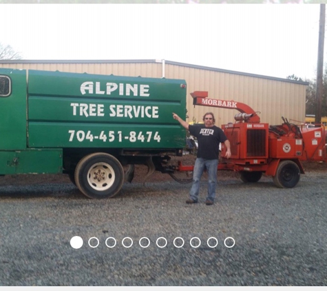 Alpine Tree Service