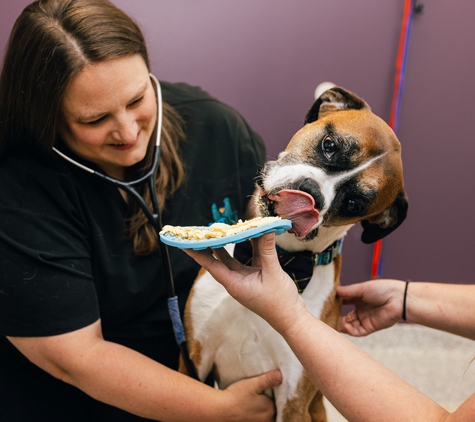 PetVet365 Pet Hospital Louisville / Jeffersontown - Louisville, KY