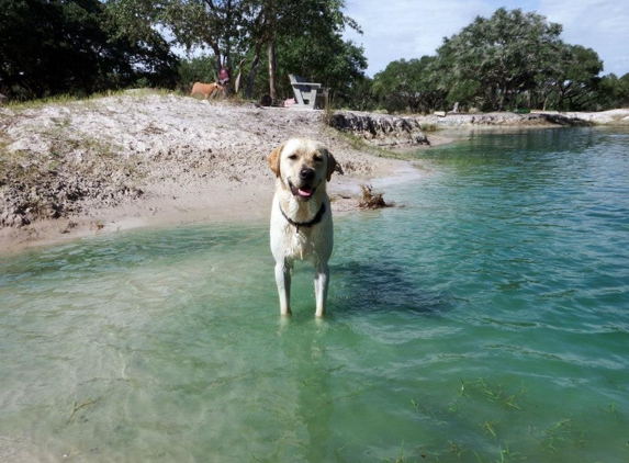 Sandy Oaks Kennels and Daycare - Rockport, TX