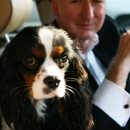 Oliver Bentleys Historic Dog Walk Tour - Pet Specialty Services