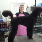 Shear Perfection Pet Salon