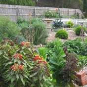 Gallery Image Number 4