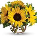 Enchanting Florist & Gift Shop - Flowers, Plants & Trees-Silk, Dried, Etc.-Retail