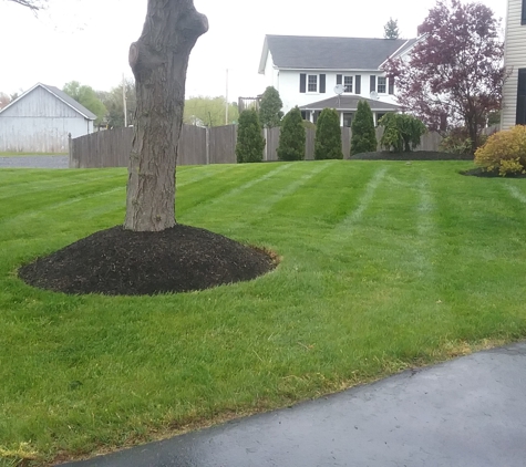 Landen's Landscape & Lawn Service - Dublin, PA