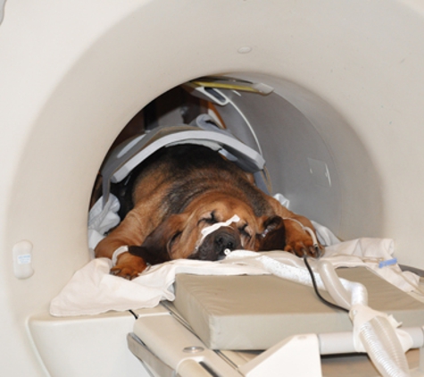 Vet Playas Tijuana Veterinary Clinic - San Diego, CA. MRI Vet Playas Veterinary Clinic