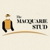 Macquarie Stud Logo