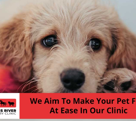 Williams River Veterinary - Clarence Town, NSW. We Aim To Make Your Pet Feel At Ease In Our Clinic