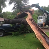 Sosa Tree Service gallery