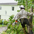 KD Tree Service - Tree Service