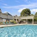 Elowyn Townhomes