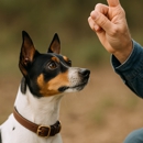 Integra Dog Training - Dog Training