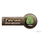 Teran Tree Experts