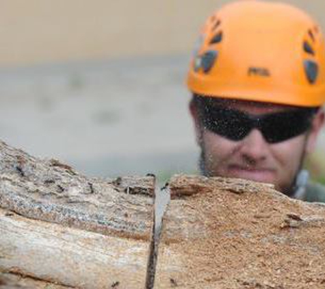 Arborlogical Trees & Turf - Lubbock, TX