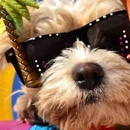 Parker's Kountry Kennel - Pet Boarding & Kennels