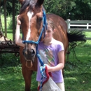 SummerSide Eqestrian LLC. - Horse Training