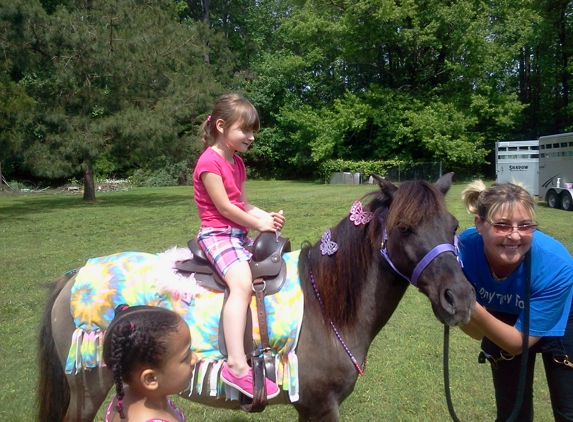 Teeny Tiny Farm Traveling Pony - Elberon, VA