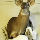 Sportmaster Taxidermy