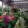 Bayberry Gardens & Landscaping gallery