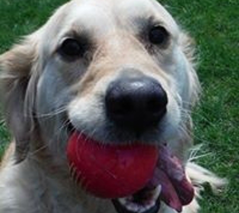 Barrington Kennels Pet Resort - Lake Barrington, IL