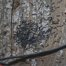 Mosquito Shield - Pest Control Equipment & Supplies