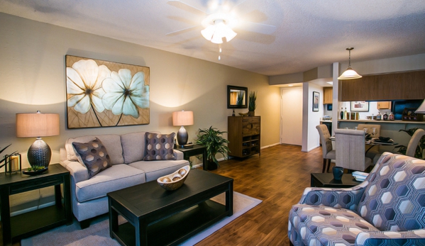 Towne Square Apartment Homes - Chandler, AZ