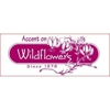 Accent On Wildflowers gallery