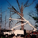 Dave's Tree Surgeons - Arborists