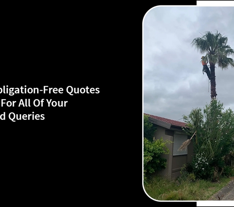 Harringtons Tree Services - Mount Evelyn, VIC. We Offer Obligation-Free Quotes And Advice For All Of Your Tree Related Queries