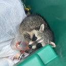 NCS Wildlife Solutions - Pest Control Equipment & Supplies