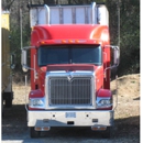 Bright Services Wood Shavings & Sawdust - Poultry Equipment & Supplies