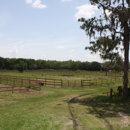 Huntsville Equestrian Center - Horse Boarding