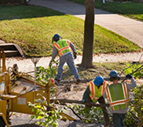 Battiste  Tree Service - Theodore, AL