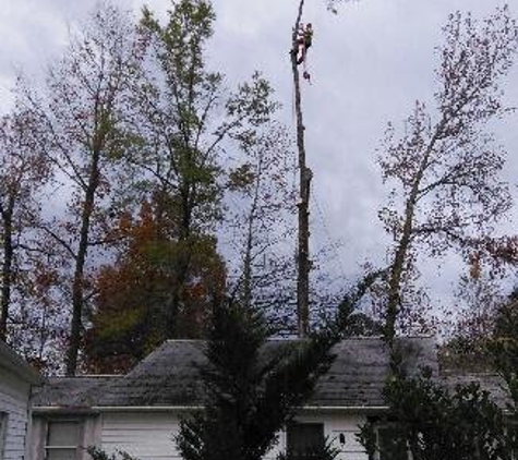 Mike's Tree Service - Bracey, VA