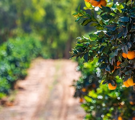 Southern Cross Farms - Mildura, VIC