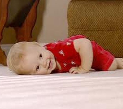 Ridogrit Carpet Cleaning - Benalla, VIC