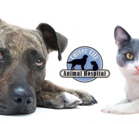 Culver City Animal Hospital - Culver City, CA