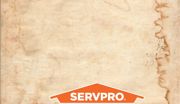 SERVPRO of Downtown Chicago/Team Zubricki - Chicago, IL