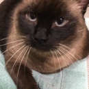 Santa Rosa Animal Hospital