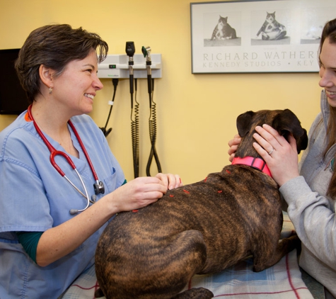 Aspetuck Animal Hospital - New Preston Marble Dale, CT