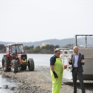 Steadfast Taswide - North Hobart, TAS. Business Insurance
