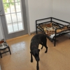 Country Cottage Pet Resort gallery