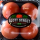 Scott Street Tomato